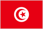 Tunisia flag
